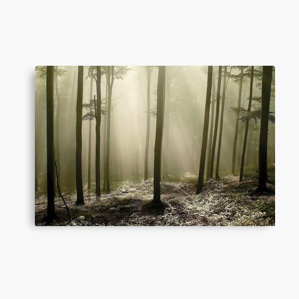 Green Works Canvas Print