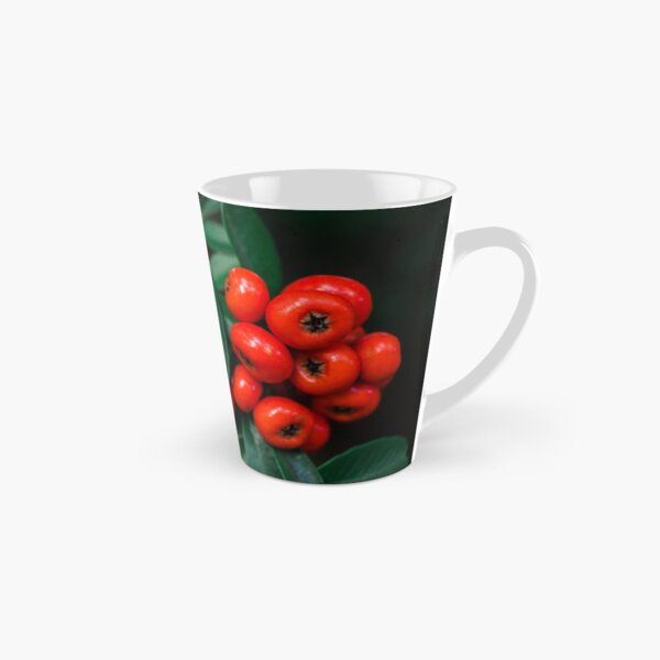 Item preview, Pyracantha Berries designed and sold by Chee Sim.
