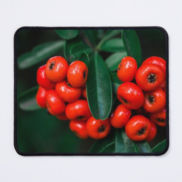 Item preview, Pyracantha Berries designed and sold by Chee Sim.