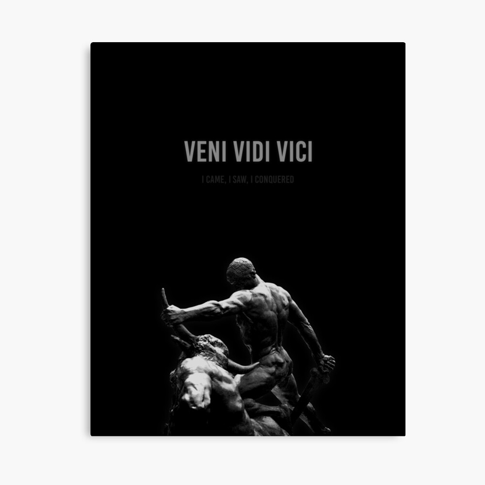 Veni vidi vici Digital Art by Vidddie Publyshd  Pixels