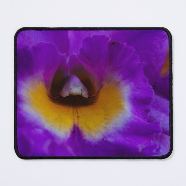 Item preview, Flower with Complementary Color designed and sold by Chee Sim.