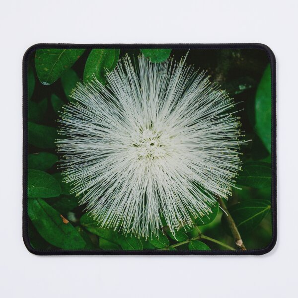 Item preview, Powder Puff Flower designed and sold by Chee Sim.