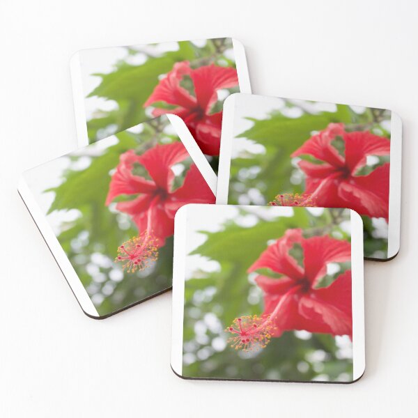 Item preview, Hibiscus Photo | Macro Photography | Tropical Photography designed and sold by hannah-banana98.