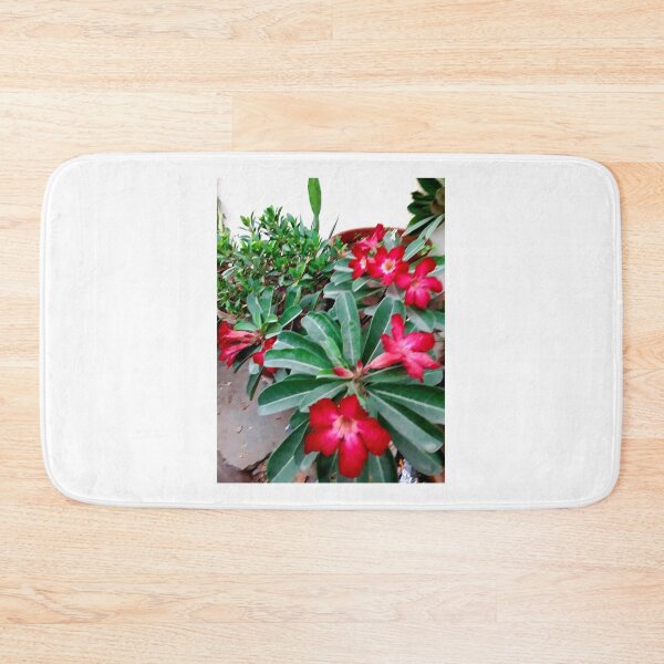 Item preview, Flowers plant bloo i g  designed and sold by ghazalamaa.