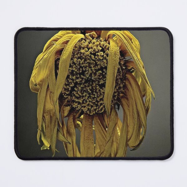 Item preview, Studio Flowers Art designed and sold by LucyCFoster.