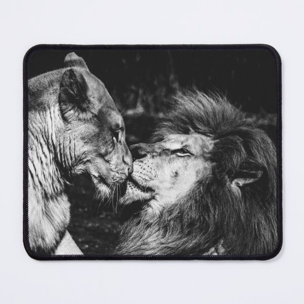 Item preview, Love Between King and Queen Of The Jungle designed and sold by ak3shay.
