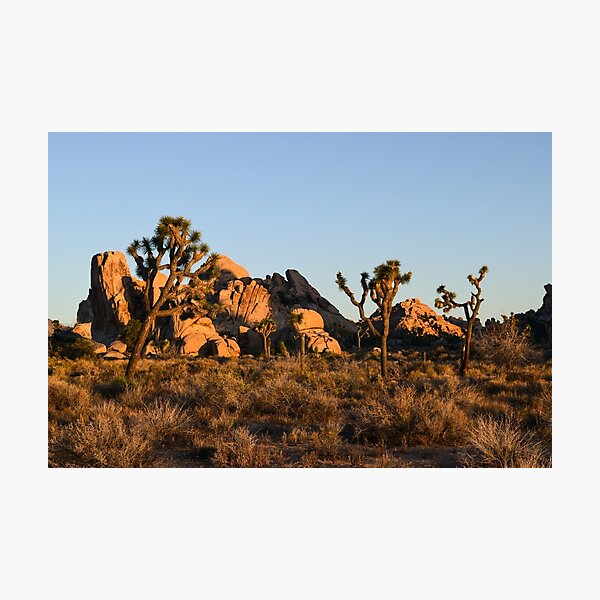 Item preview, Joshua Tree National Park, California designed and sold by Mike Kunes.