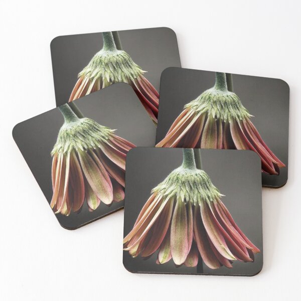 Item preview, Studio Flowers designed and sold by LucyCFoster.