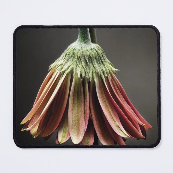 Item preview, Studio Flowers designed and sold by LucyCFoster.