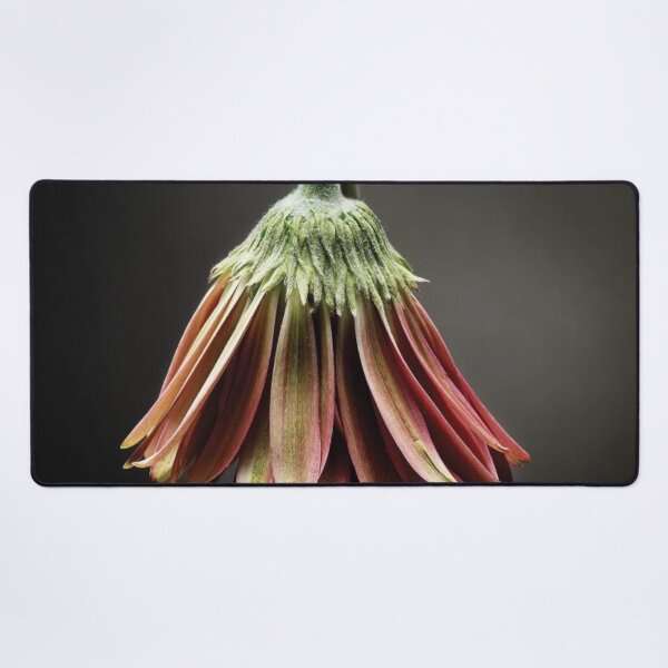 Item preview, Studio Flowers designed and sold by LucyCFoster.