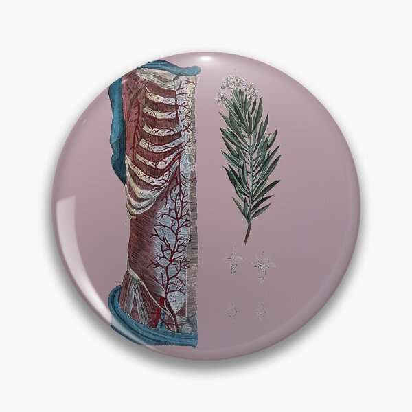 Item preview, Vintage Botanical and Anatomical Illustration designed and sold by Naturalist Prints.