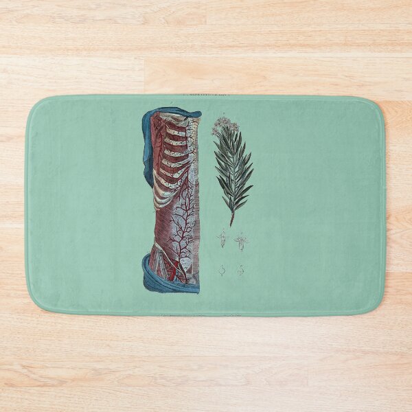 Item preview, Vintage Botanical and Anatomical Illustration designed and sold by Naturalist Prints.