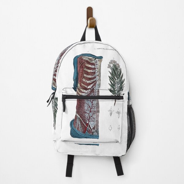 Item preview, Vintage Botanical and Anatomical Illustration designed and sold by Naturalist Prints.