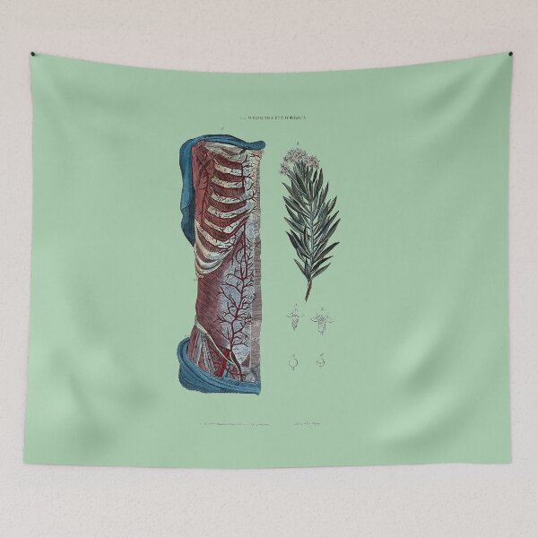 Item preview, Vintage Botanical and Anatomical Illustration designed and sold by Naturalist Prints.