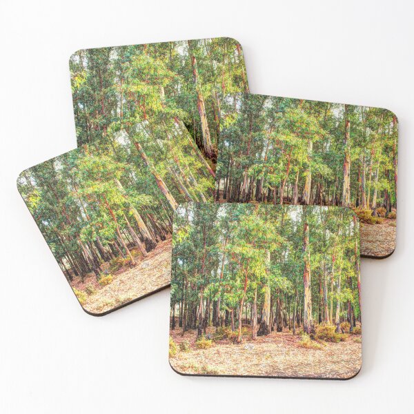 Item preview, Grove of eucalyptus trees with blue sky designed and sold by janesg.
