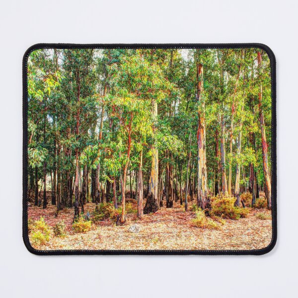 Item preview, Grove of eucalyptus trees with blue sky designed and sold by janesg.