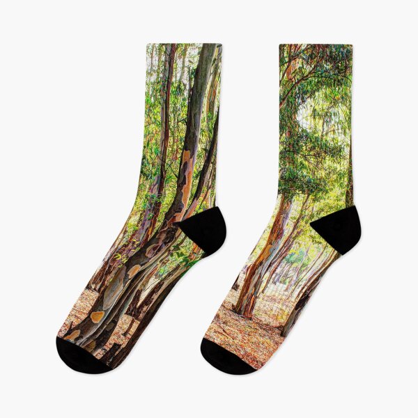 Item preview, Shady grove of eucalyptus trees with blue sky designed and sold by janesg.