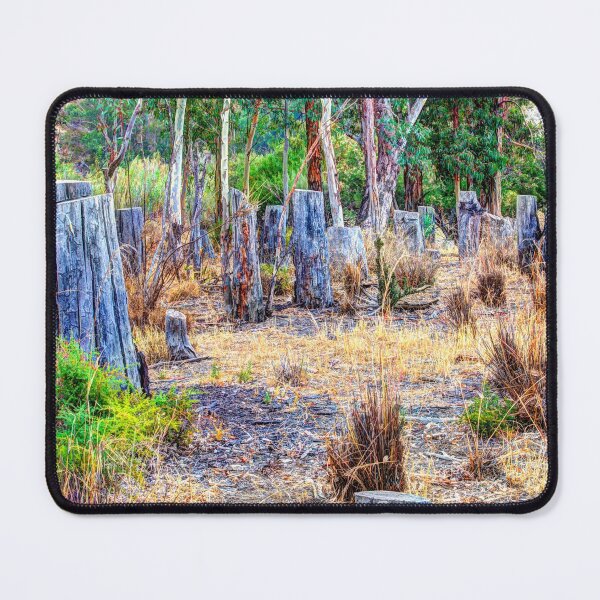 Item preview, Cut olive tree trunks in scrubland designed and sold by janesg.
