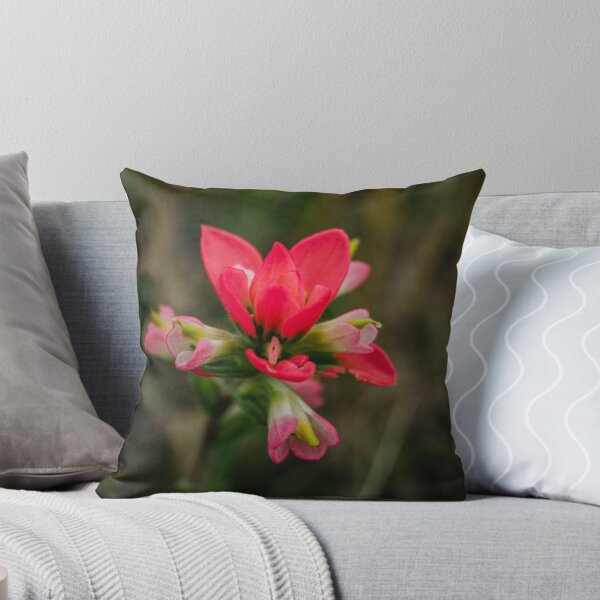 Item preview, Indian Paintbrush designed and sold by Chee Sim.