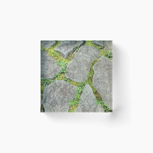 Item preview, Moss stone path designed and sold by zchriswit.