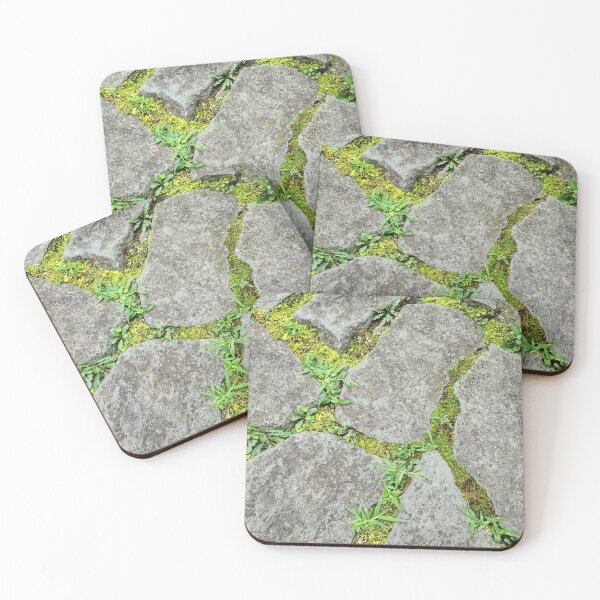 Item preview, Moss stone path designed and sold by zchriswit.