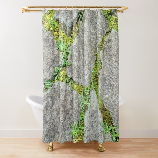 Item preview, Moss stone path designed and sold by zchriswit.