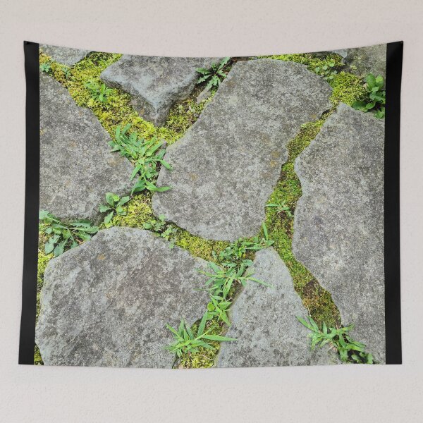 Item preview, Moss stone path designed and sold by zchriswit.