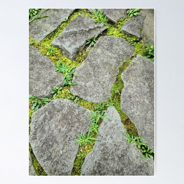 Item preview, Moss stone path designed and sold by zchriswit.