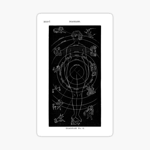 The Galaxies Within: Diagram Sticker