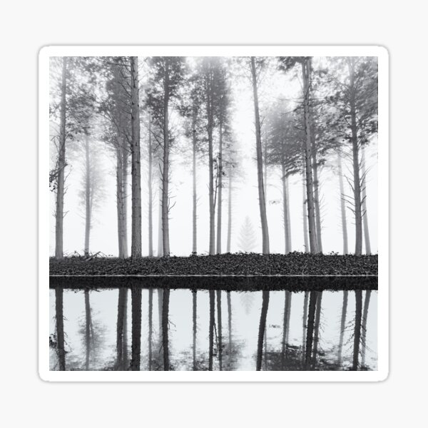 Item preview, Forest reflection designed and sold by Kath Salier.