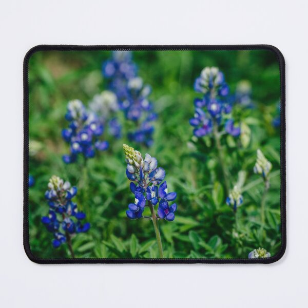 Item preview, Bluebonnets designed and sold by Chee Sim.