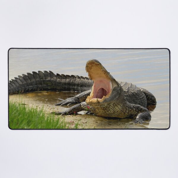 Item preview, Alligator. Boring and yawning designed and sold by Zina Stromberg.