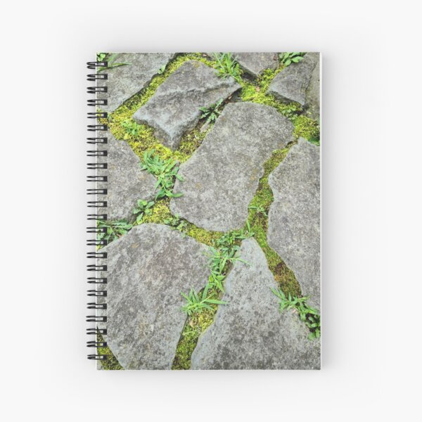 Item preview, Moss stone path designed and sold by zchriswit.