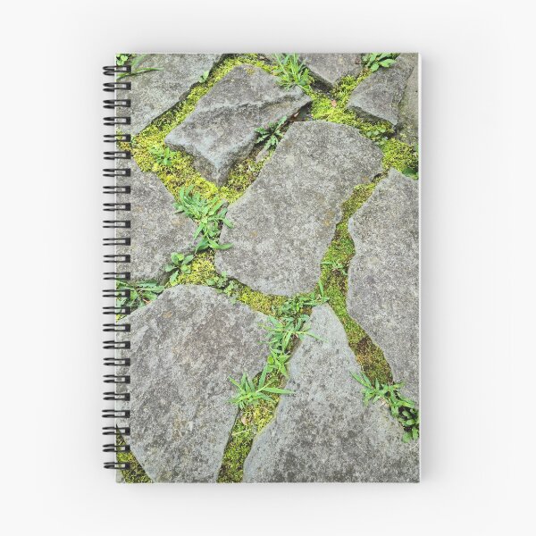 Item preview, Moss stone path designed and sold by zchriswit.