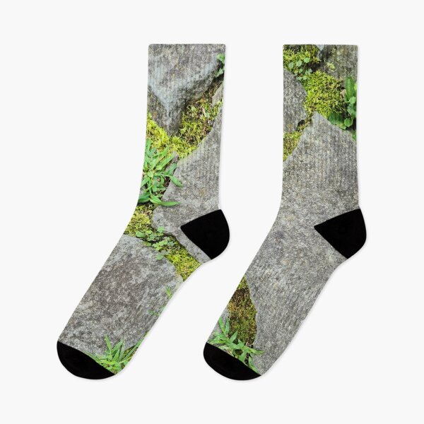Item preview, Moss stone path designed and sold by zchriswit.