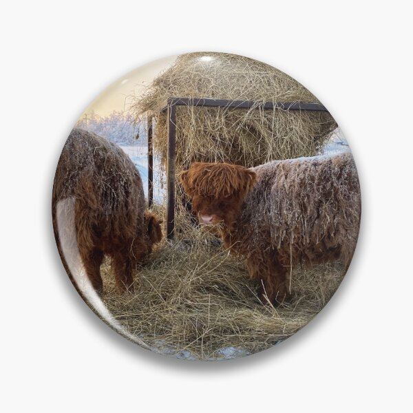 Artikelvorschau, Scottish Highland Cattle Calves in snow 2716 entworfen und verkauft von SaarelaHighland.