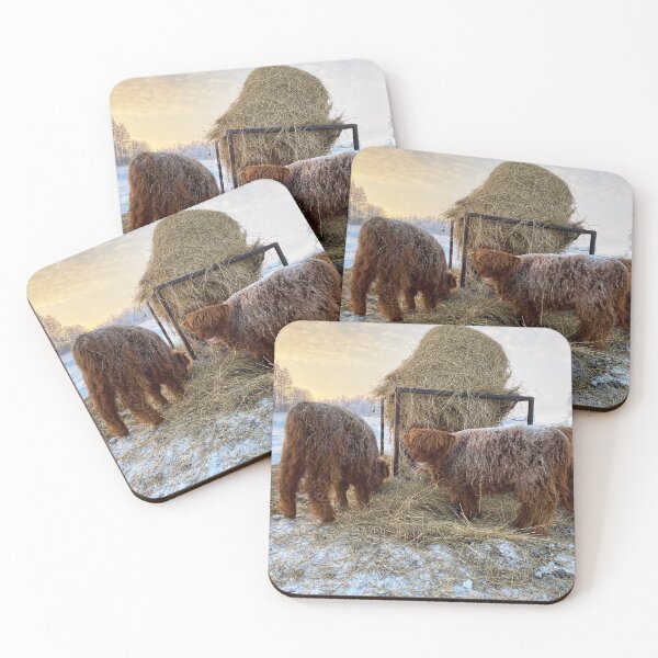 Item preview, Scottish Highland Cattle Calves in snow 2716 designed and sold by SaarelaHighland.