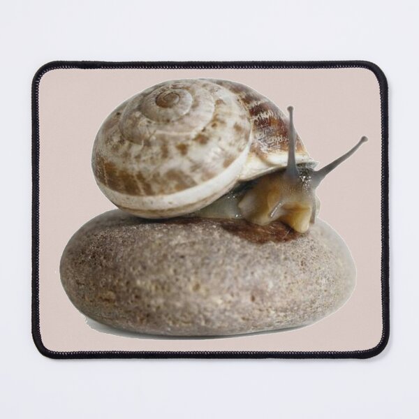 Item preview, SMART SHELLS designed and sold by HASSANBADRI2050.