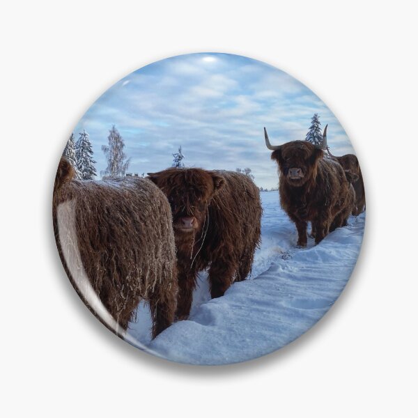 Artikelvorschau, Scottish Highland Cattle Calves and Cows in snow 2719 entworfen und verkauft von SaarelaHighland.