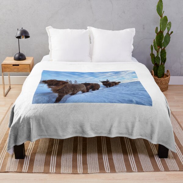 Item preview, Scottish Highland Cattle Calves and Cows in snow 2719 designed and sold by SaarelaHighland.