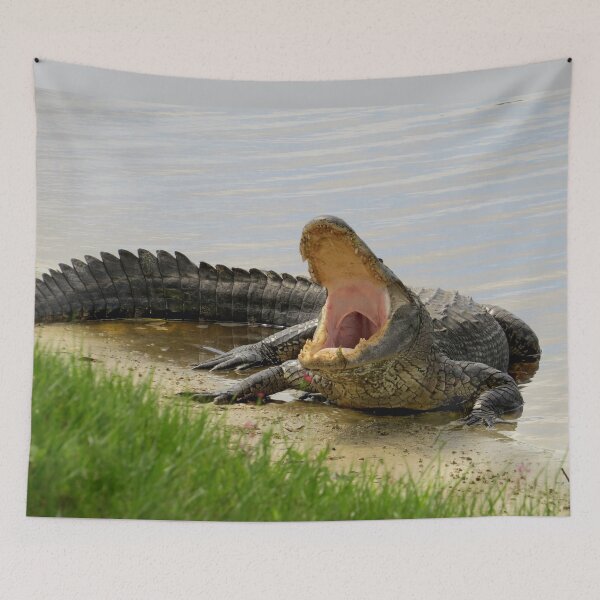 Item preview, Alligator. Boring and yawning designed and sold by Zina Stromberg.