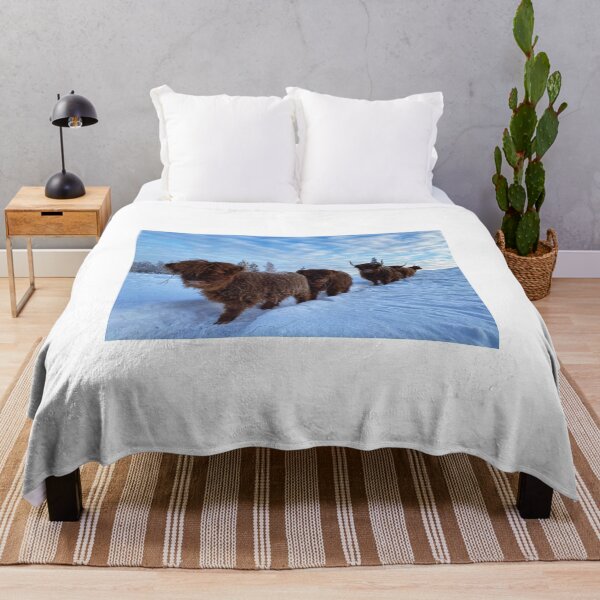 Item preview, Scottish Highland Cattle Calves and Cows in snow 2720 designed and sold by SaarelaHighland.