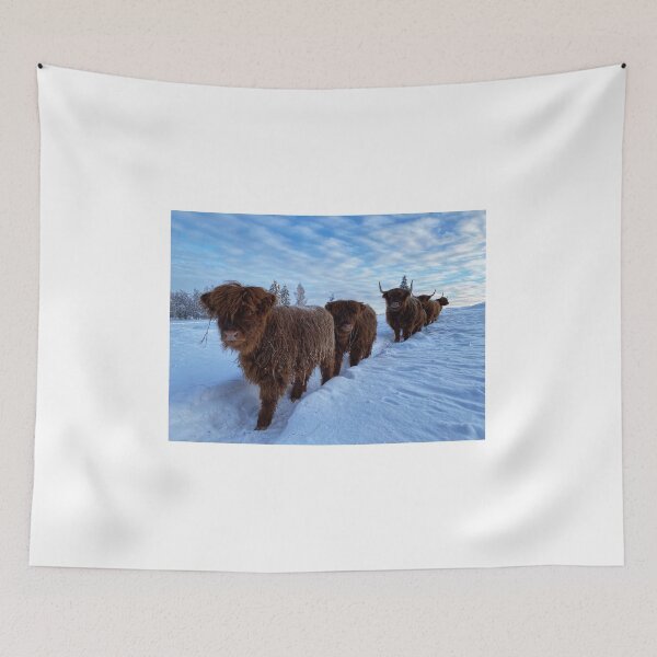 Item preview, Scottish Highland Cattle Calves and Cows in snow 2720 designed and sold by SaarelaHighland.