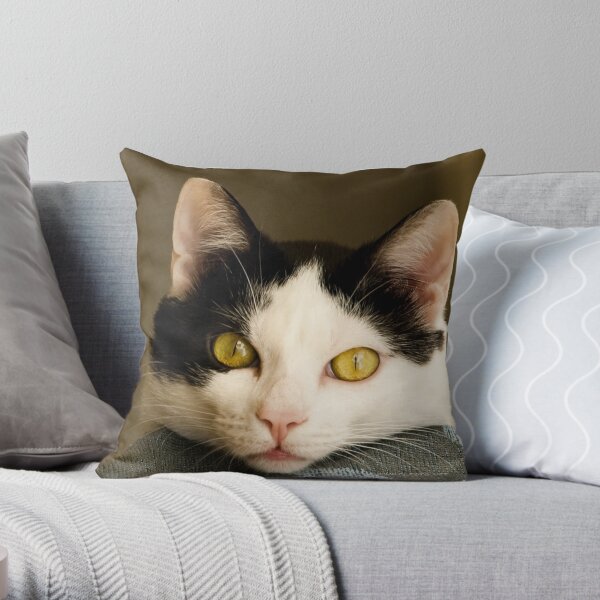 Cat eyes Throw Pillow