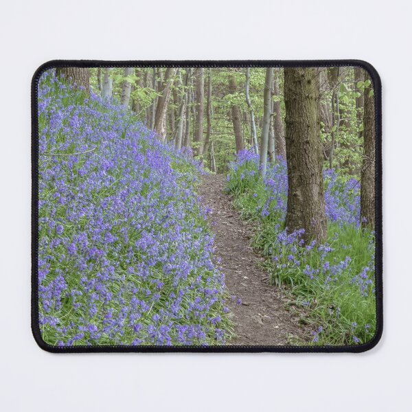 Item preview, The Bluebell Track designed and sold by Lisa Hands.