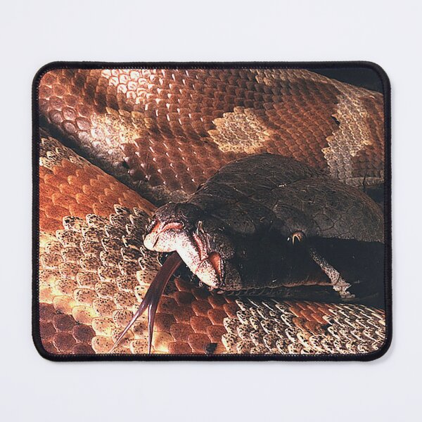 Item preview, Big Red, Sumatran Blood and Short-tailed Python. designed and sold by Jeffrey Mask.