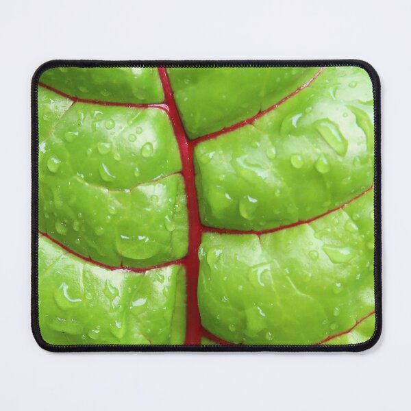 Item preview, Swiss Chard Leaf designed and sold by DanaAndTheBooks.