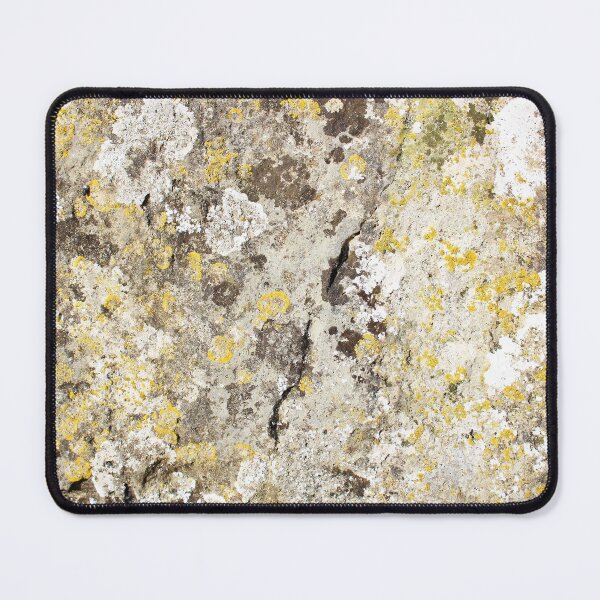 Item preview, Lichen on The Rollright Stones designed and sold by DanaAndTheBooks.