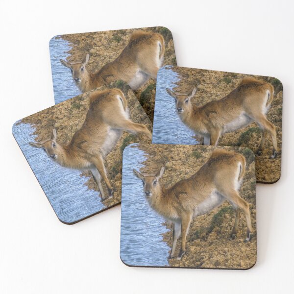 Item preview, At the Water's Edge designed and sold by Lisa Hands.