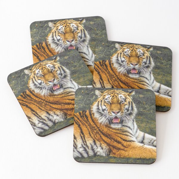 Item preview, Stripes designed and sold by Lisa Hands.